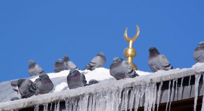 Erzurum'da termometreler -18'i gösterdi